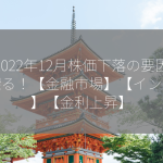 2022年12月株価下落の要因を探る！【金融市場】【インフレ】【金利上昇】